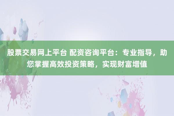 股票交易网上平台 配资咨询平台：专业指导，助您掌握高效投资策略，实现财富增值