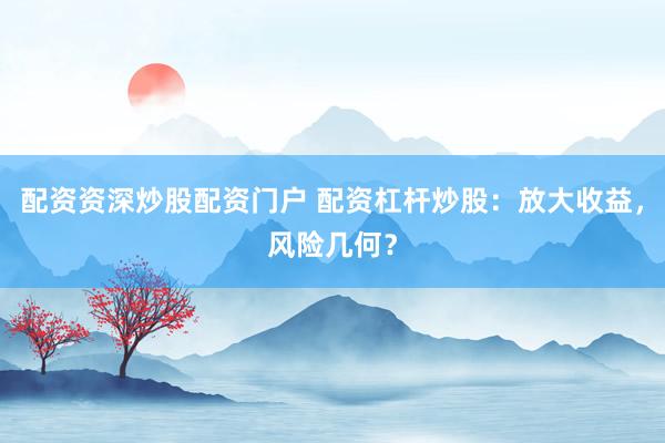 配资资深炒股配资门户 配资杠杆炒股：放大收益，风险几何？