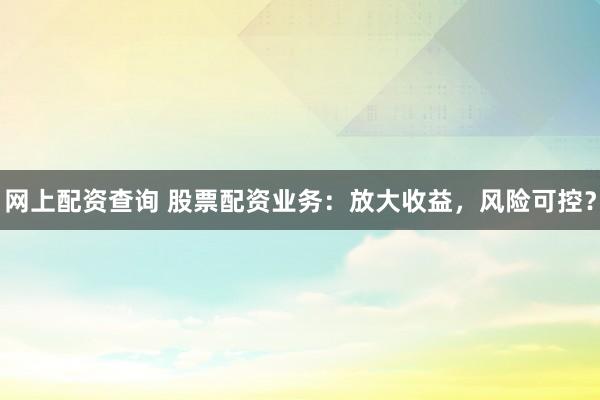网上配资查询 股票配资业务：放大收益，风险可控？