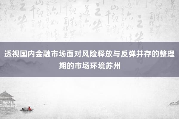透视国内金融市场面对风险释放与反弹并存的整理期的市场环境苏州