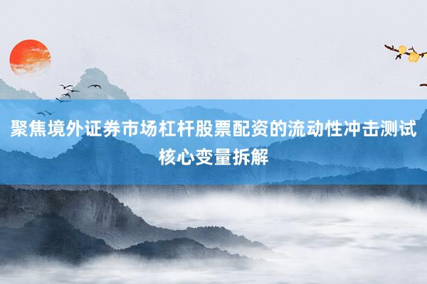 聚焦境外证券市场杠杆股票配资的流动性冲击测试核心变量拆解